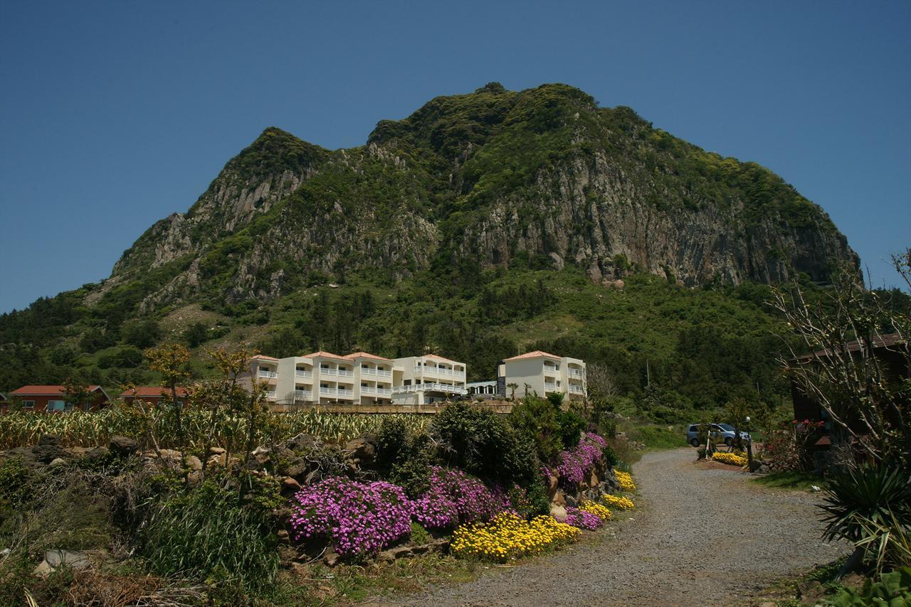 Jeju The Ocean Hill Pension Seogwipo Exterior photo